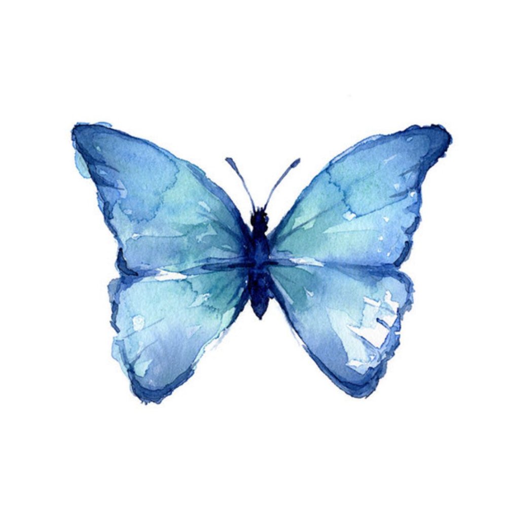 Meet your Posher, Brandi